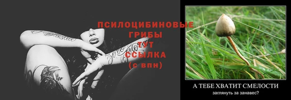 крисы Лиски