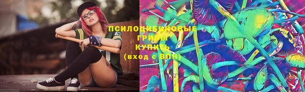 прущая мука Пересвет