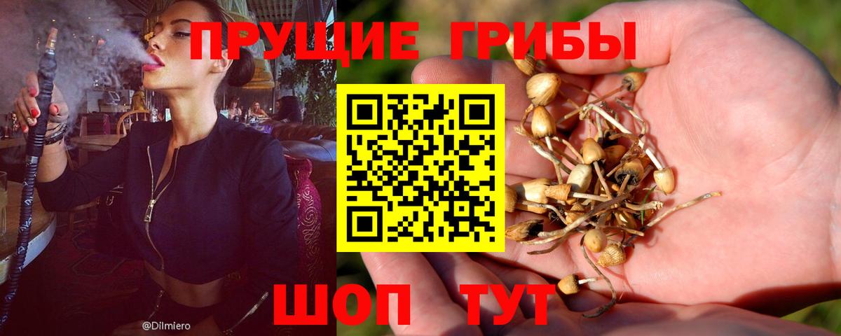 Псилоцибиновые грибы мухоморы Тара