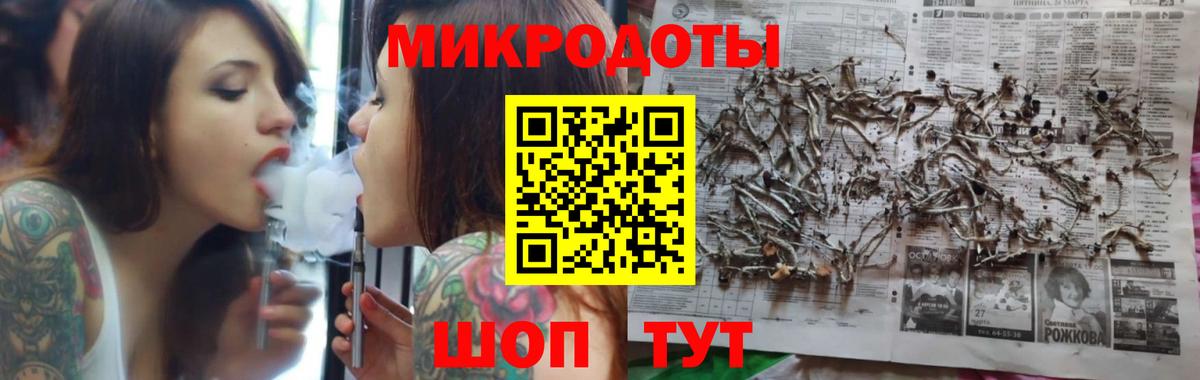 купить наркоту  Вход с VPN  Тара  Псилоцибиновые грибы Psilocybe 